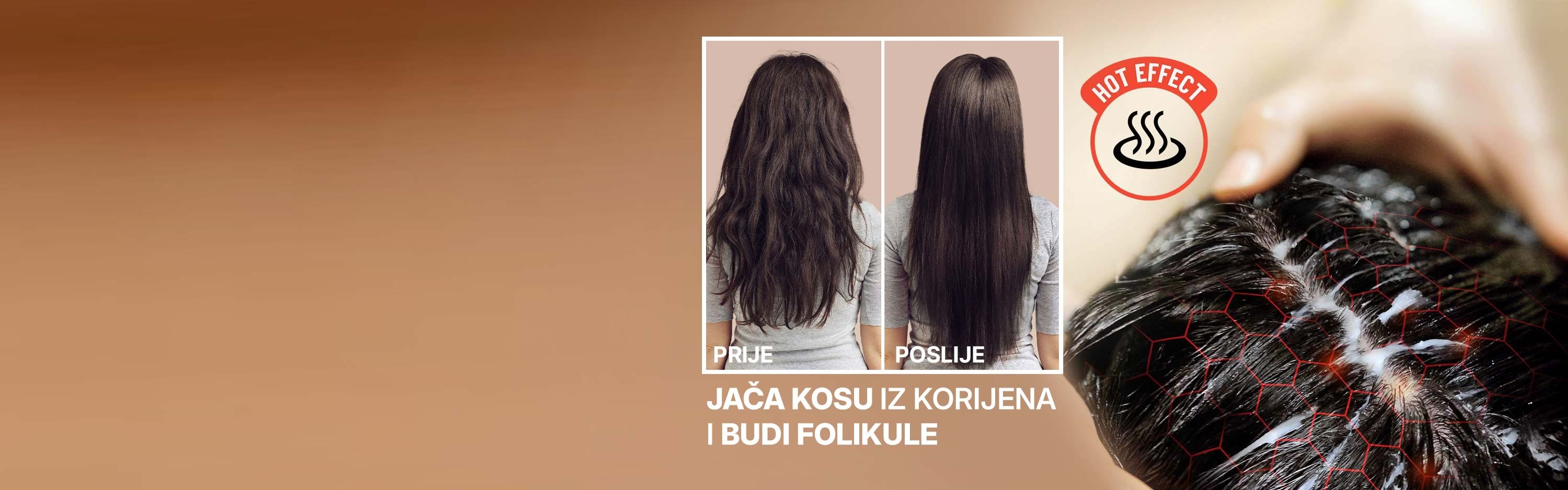 Moringa-maska-sekcija---PC--BIH