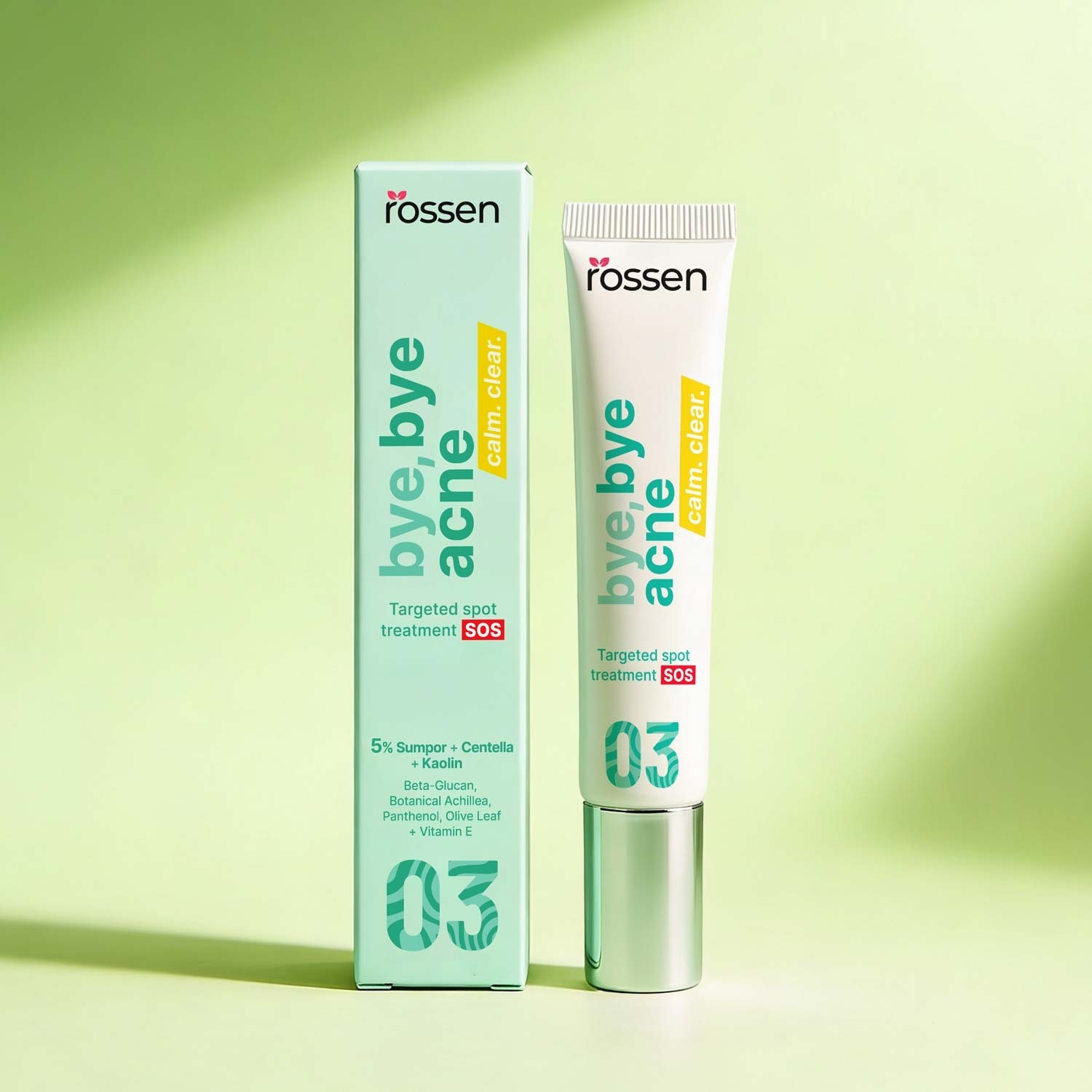 BYE-BYE-ACNE---POÄETNA---FINAL