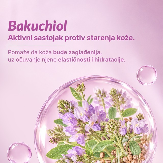 SLAJD-AKTIVNI-SASTOJAK
